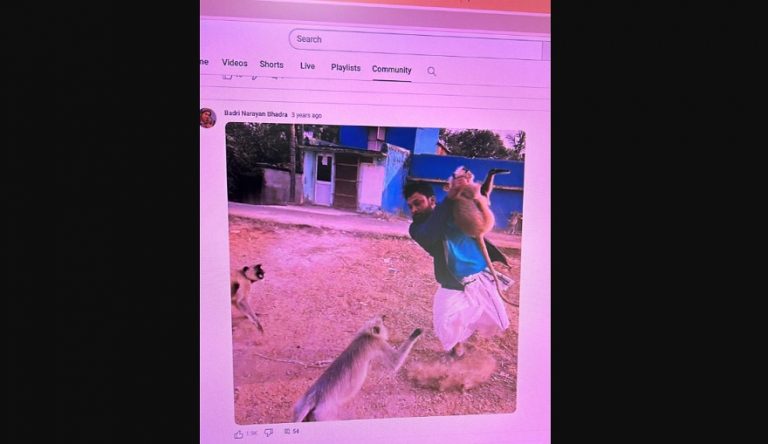 YouTuber Couple Absconds After Forest Officials Raid For Domesticating Langurs In Odisha’s Jajpur