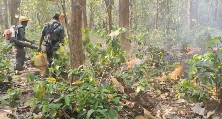 Wildfires Triggered By Severe Heatwave Spread To 30 Points In Odisha’s Similipal