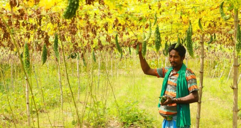 Tamil Nadu farmer