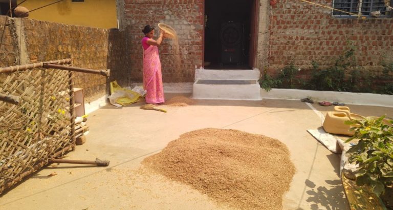 grains sieving grain in MP