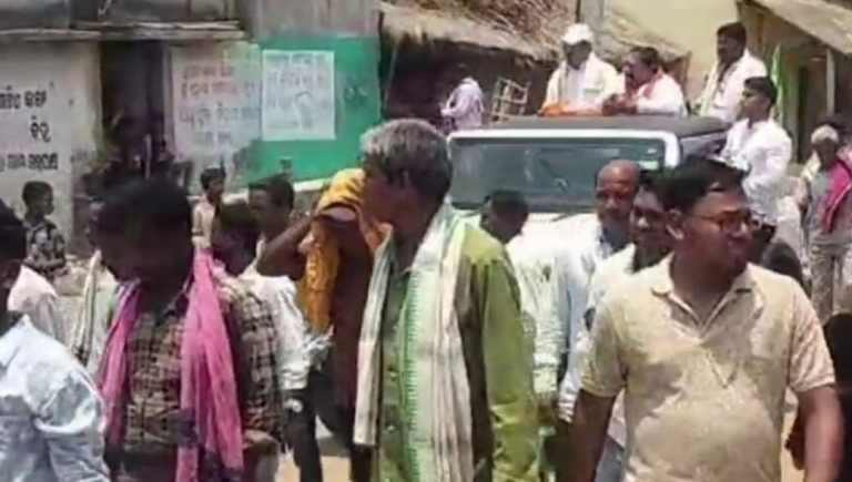 20 Injured In Bee Attack During BJD Campaign In Odisha’s Sonepur
