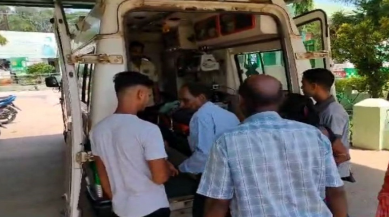 Odisha Elections 2024: Polling Agent, Woman Voter Die In Separate Booths