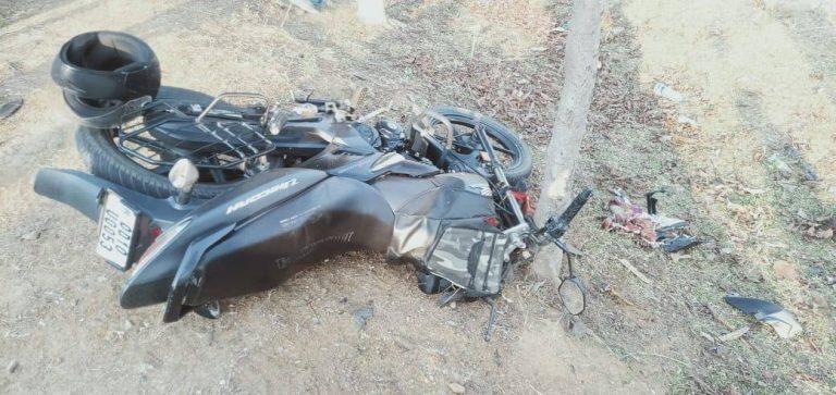 Odisha Elections: Headmaster, Another Poll Official Die In Road Mishaps While Returning After Duty