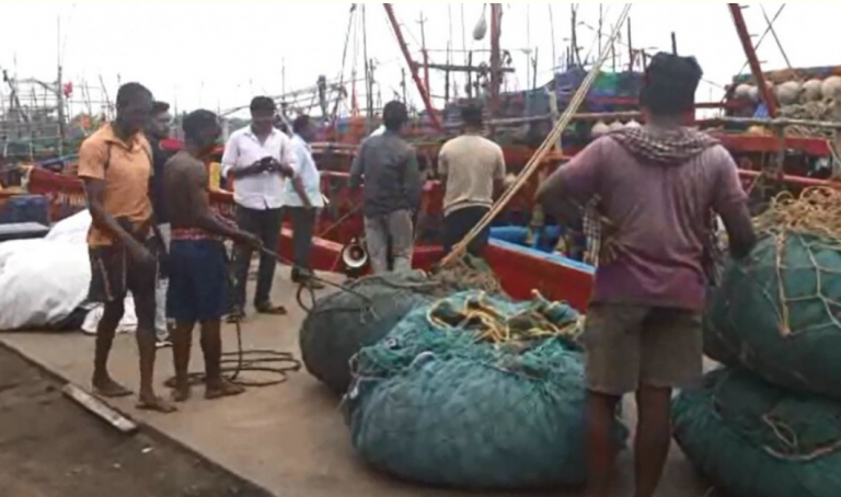 Marine Fishing Activity Resumes Along Odisha Coast After 61-Day Ban