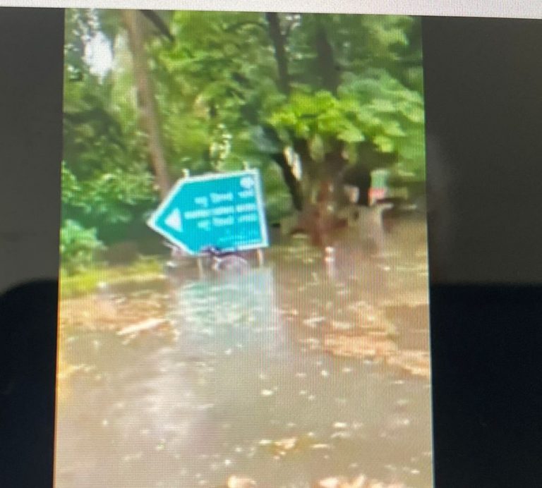Rainwater Floods Congress MP Shashi Tharoor & AAP Minister Atishi’s Houses
