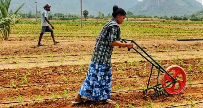 woman farmer using cycle weeder