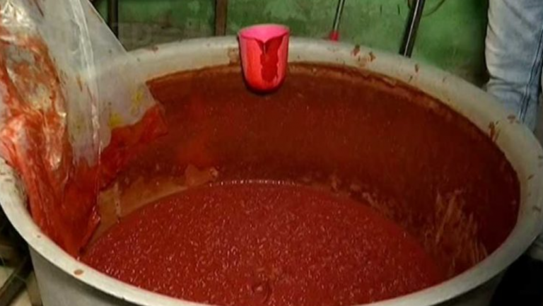 Duplicate Sauce-Making Unit Busted In Odisha Capital; Owner Detained