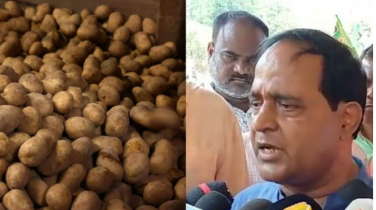 Odisha To Procure 300 MT Potato Through NAFED; To Be Sold At Rs 30 Per Kg: Minister