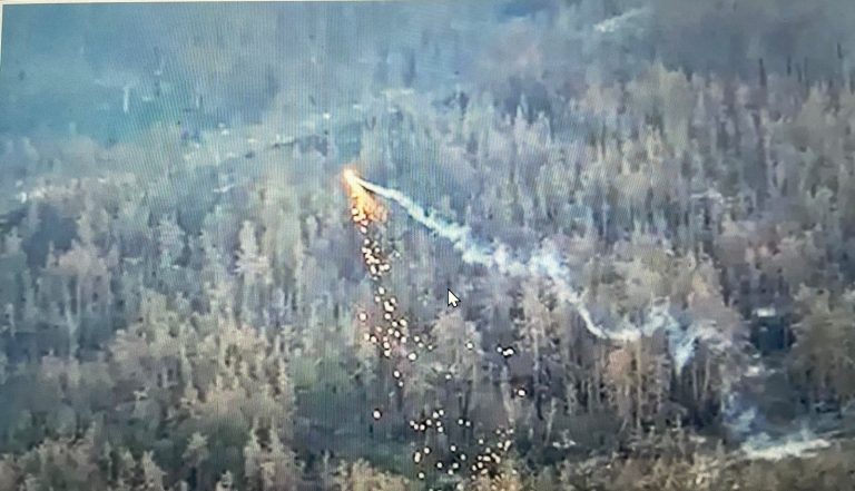 [Watch] What Are ‘Dragon Drones’Used By Ukraine To Drop Molten Metal On Russian Positions?