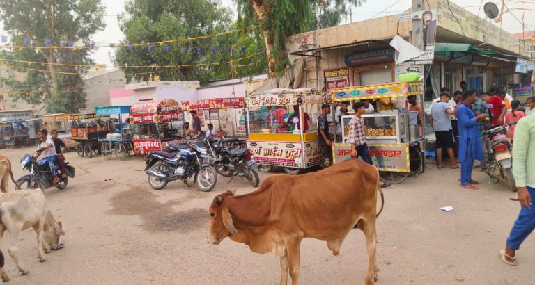 Fast Food Cooks Up A New Trend In Villages Of Rajasthan’s Hanumangarh