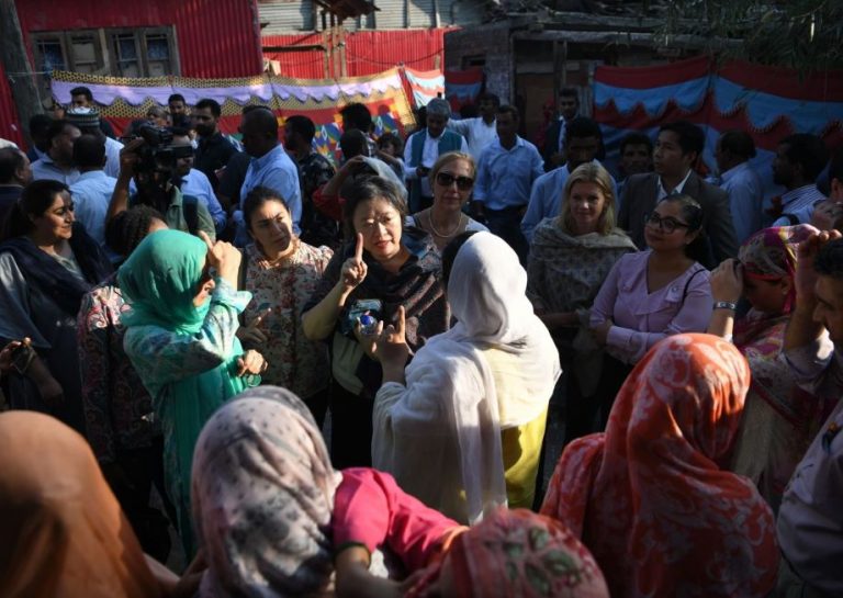Foreign diplomats at J & K polls