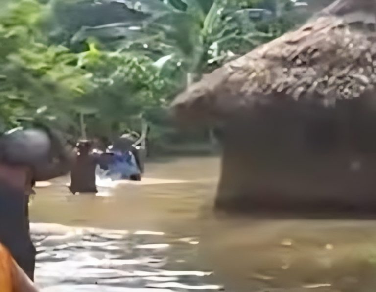 324 Villages Inundated As Flood Situation Worsens In Odisha’s Balasore, Subarnarekha Crosses Danger Mark