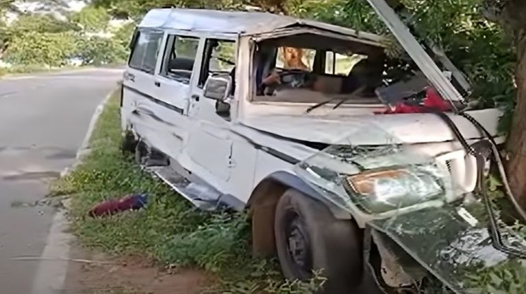 5 Pilgrims Critically Injured As SUV Rams Into Tree In Odisha’s Puri