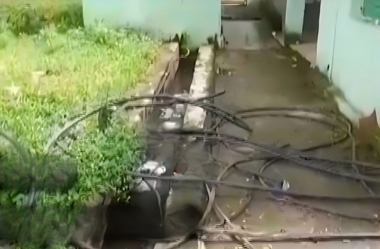 Patient Dies After Tripping Over Cables Lying On Hospital Premises In Odisha’s Balasore