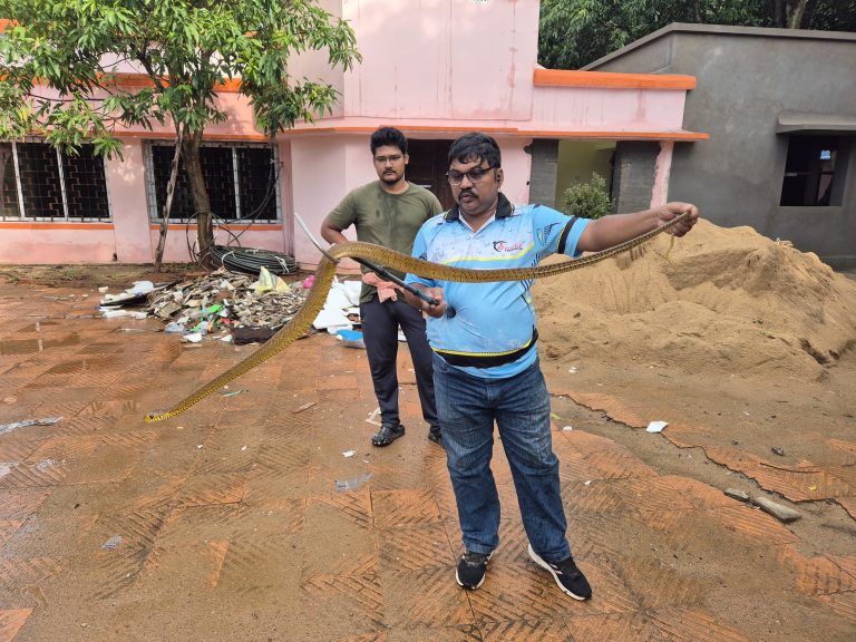 Snake Rescued From Odisha Forest Minister’s Residence In Bhubaneswar