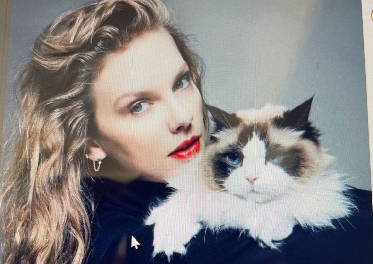 Taylor Swift Backs Kamala Harris, Calls Herself ‘Childless Cat Lady’
