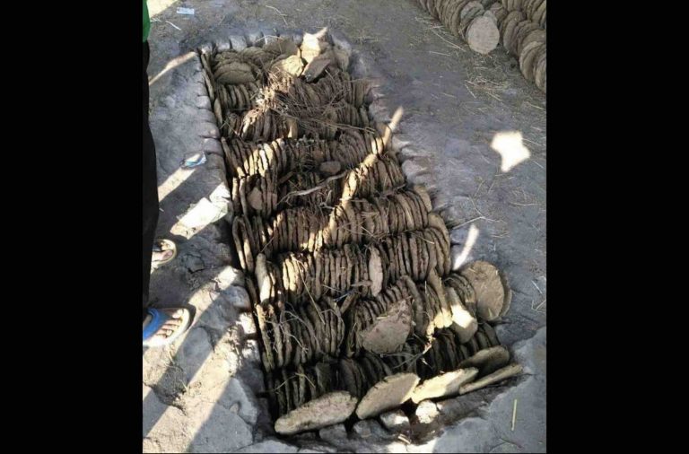 Cow Dung Cakes Used For Cremations At This Place In Odisha For Over 8 Decades