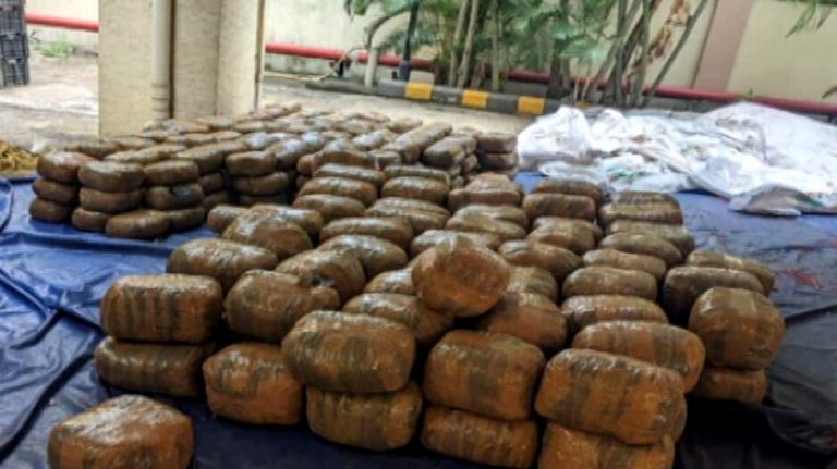 808 Kg Ganja Worth Rs 1.62 Cr Seized From Bhubaneswar-Bound Fruit-Laden Truck; 3 Held