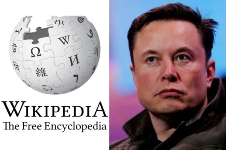 Elon Musk on wikipedia