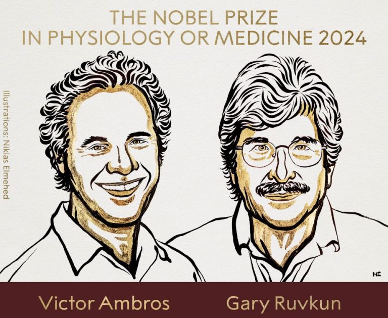 Nobel prize for Medicine 2024