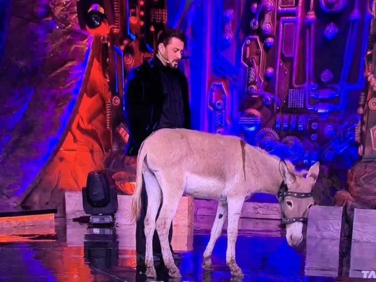 Bigg Boss 18: Host Salman Khan Asked To Surrender Donkey To PETA; Read More