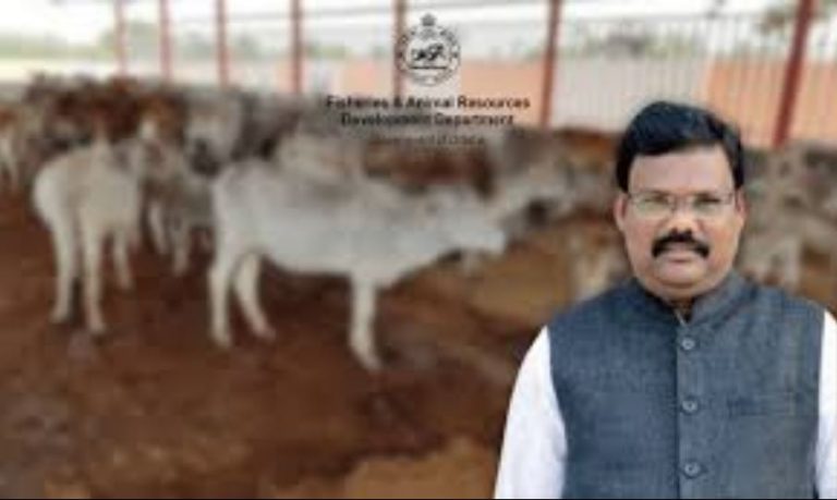 Odisha Govt To Act Tough Against Cow Slaughter, Smuggling: Minister