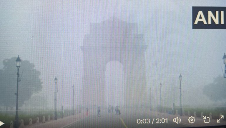 Over 300 Flights Delayed At Delhi Airport; No GRAP 3 Anti-Pollution Measures In Smog-Hit Delhi, Know Why?