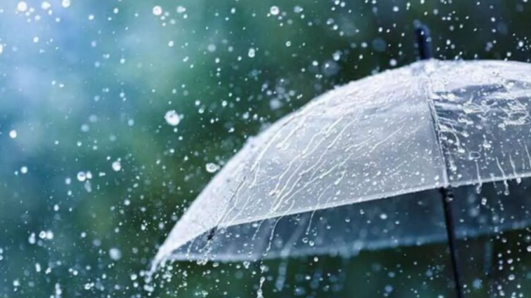 Light Rain Likely In Some Parts Of Odisha Till Tomorrow; No Change In Temp For 5 Days