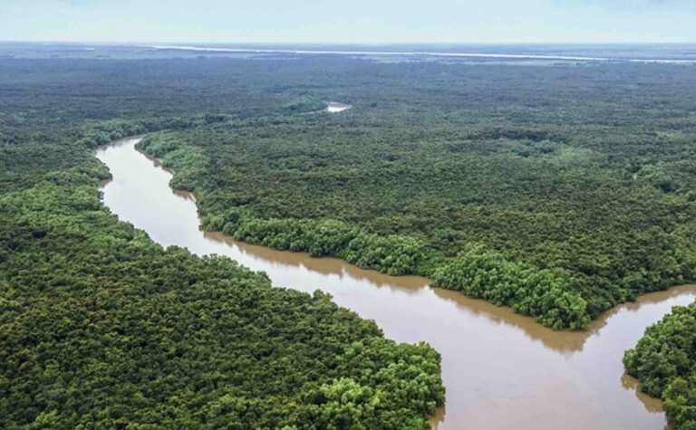 Odisha Sees Forest & Tree Cover Gains; Among Top 3 States With Highest Fire Incidents