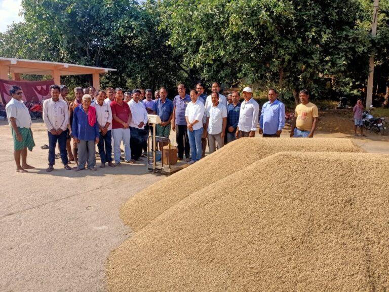 Odisha Govt Accelerates Paddy Procurement Process In 5 Districts