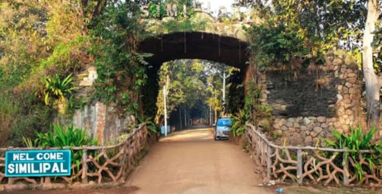 In A First, Dedicated Company Of APR Force To Guard Odisha’s Similipal Tiger Reserve