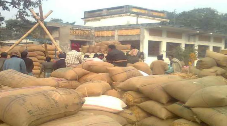 Odisha Kharif Paddy Procurement From Nov 20, 100 Model Mandis To Be Set Up