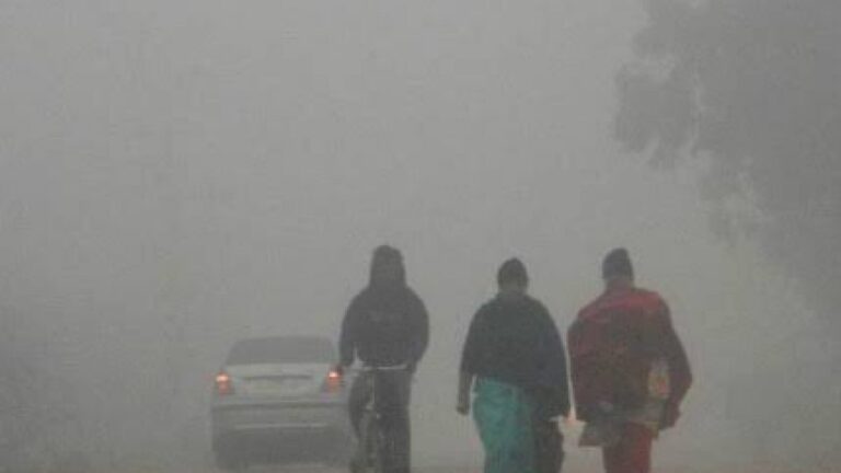 Temp Plunges 7.7°C Below Normal In Angul Amid Severe Cold Wave; Mercury To Rise Again In Odisha