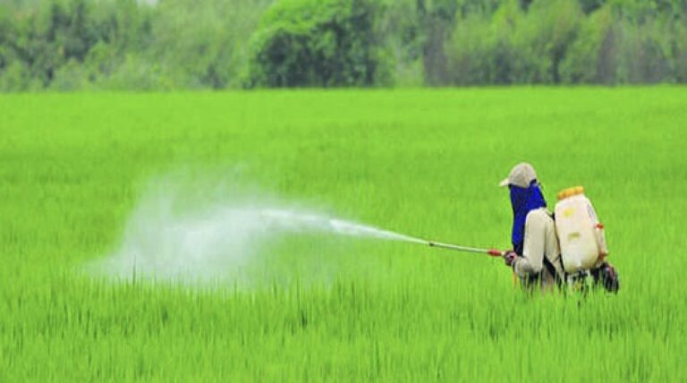 PM Modi Dedicates 1st Cabinet Meeting Of 2025 To Farmers; Check Key Decisions