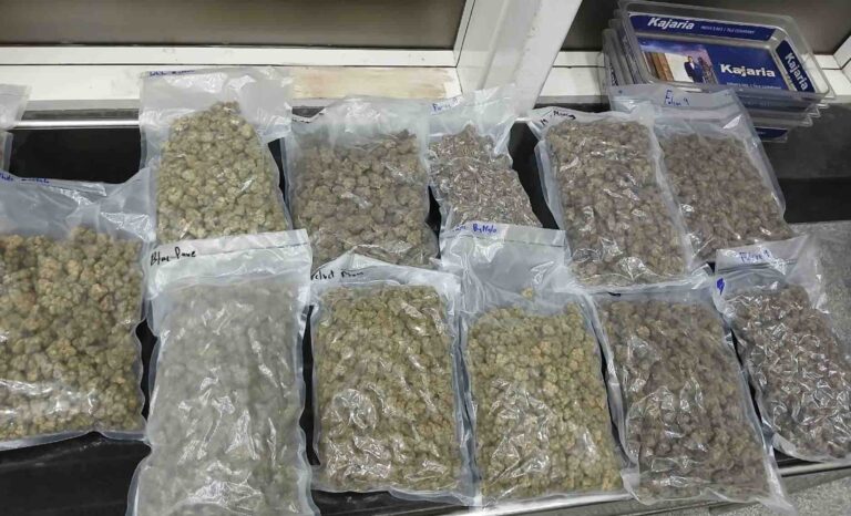 Marijuana Worth Rs 9.5 Cr Seized From 2 Female Passengers At Bhubaneswar Airport