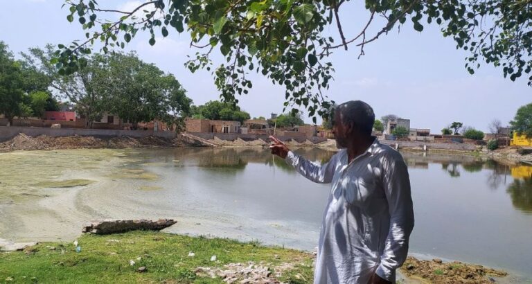 Rajasthan pond filled with dirty water