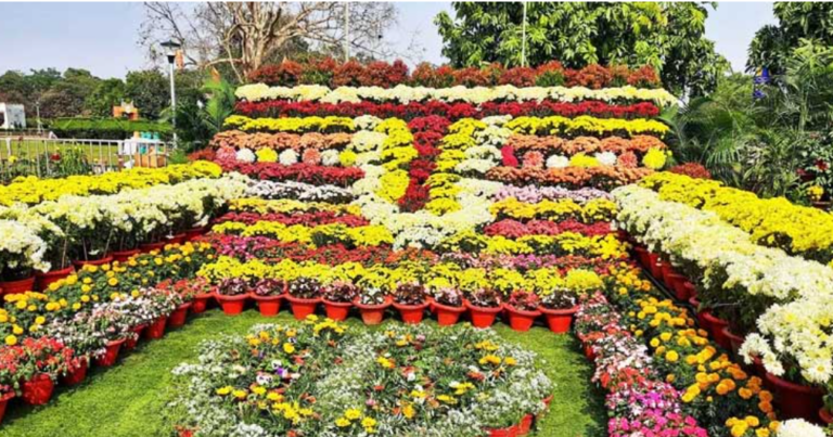Annual Flower Show 2025 In Bhubaneswar Extended By A Day
