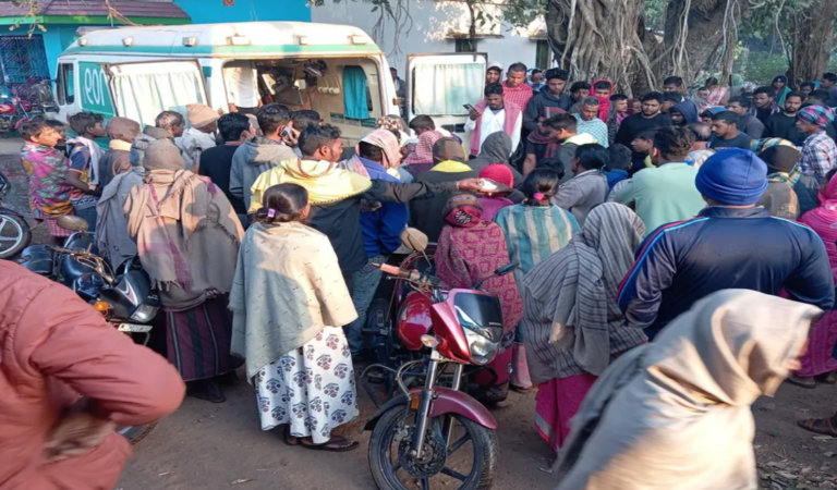 Boy Killed, Mother Critical In Elephant Attack In Odisha Village