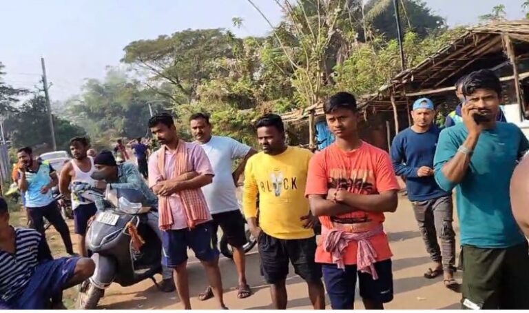 Woman Dies After Being Attacked By Bull In Odisha Capital