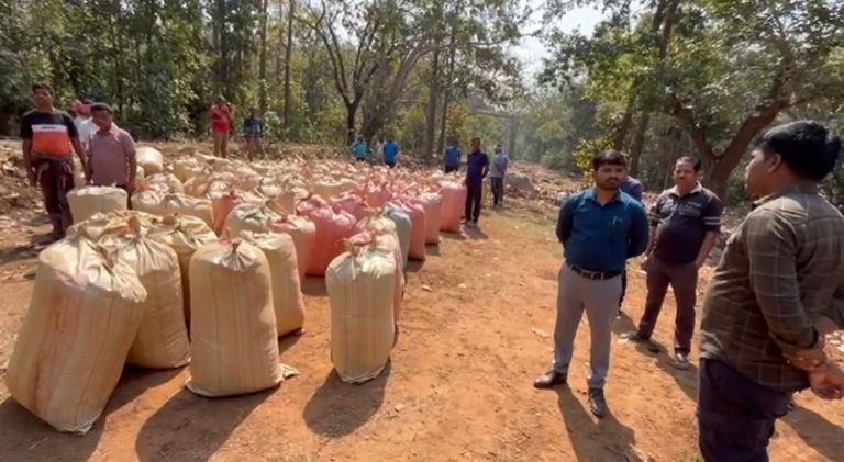 Police Seize 10.8 Tonne Ganja In Odisha’s Kandhamal