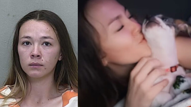 Florida-Based Digital Content Creator Lands Up In Jail For Recording Sexual Act With Pet, Sharing On Social Media