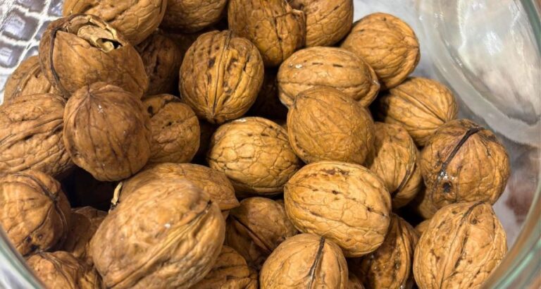 Kashmir walnuts