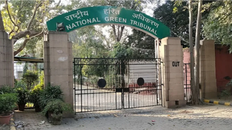NGT Imposes Rs 10k Fine On Odisha For Failing To Submit Report On illegal Mining In Dhenkanal