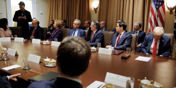 Trump, Musk at cabinet meeting