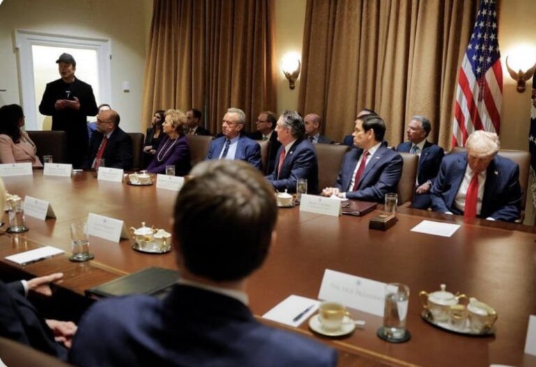 Trump, Musk at cabinet meeting