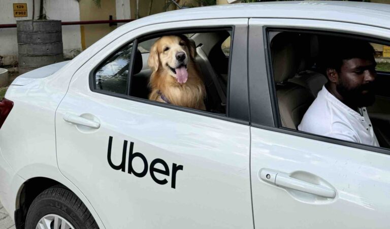 Uber Expands Its Pet-Friendly Ride Option To Two More Cities