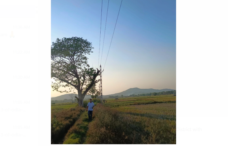 TPSODL Enhances Power Infrastructure in Ganjam With New 33KV Line