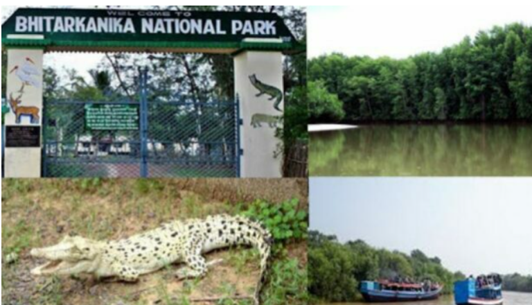 Odisha’s Bhitarkanika To Remain Closed For 3 Months From May 1