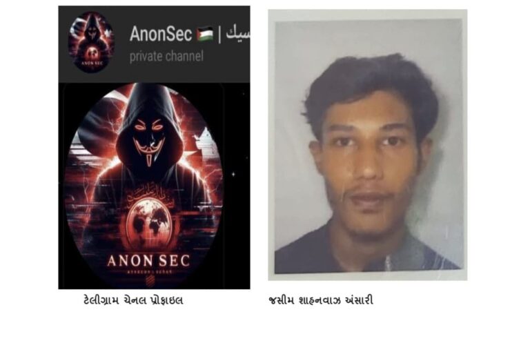 Gujarat teen arrested for cyberattacks