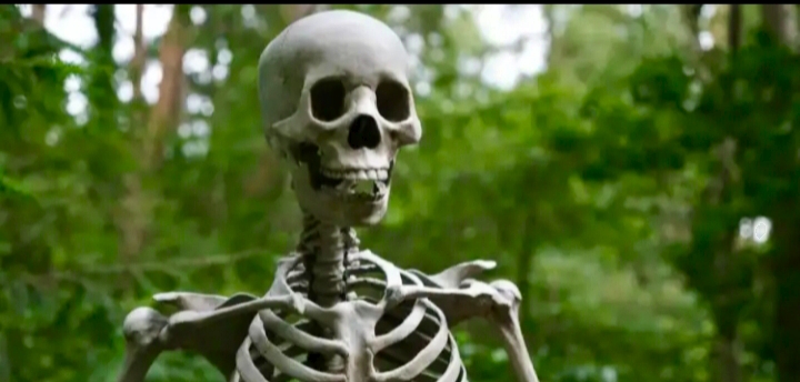 Drunk Sparks Major Mob Violence By Digging Up Skeleton And Taking Selfies With It